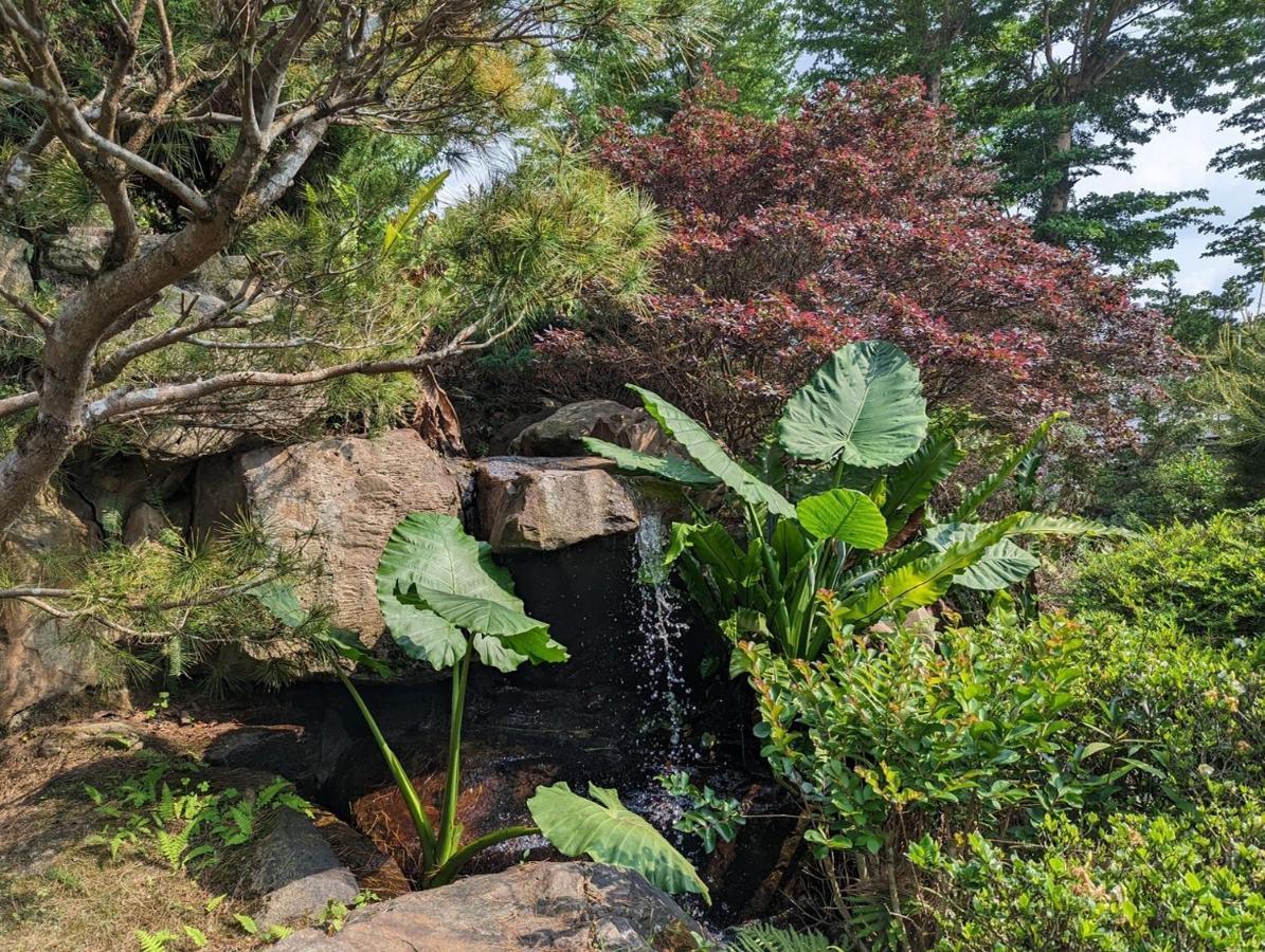 플라잉 빌라 Nantou 외부 사진
