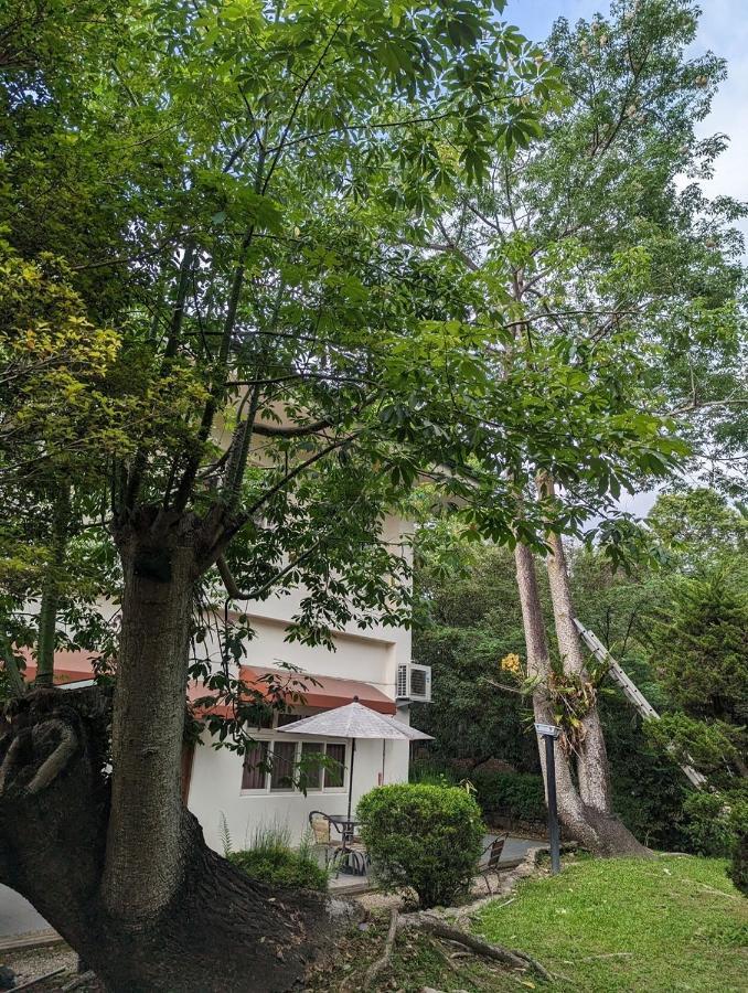 플라잉 빌라 Nantou 외부 사진