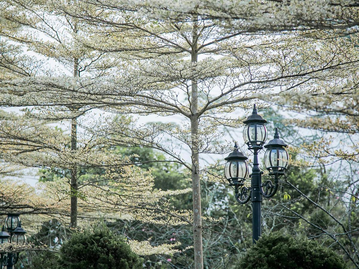 플라잉 빌라 Nantou 외부 사진